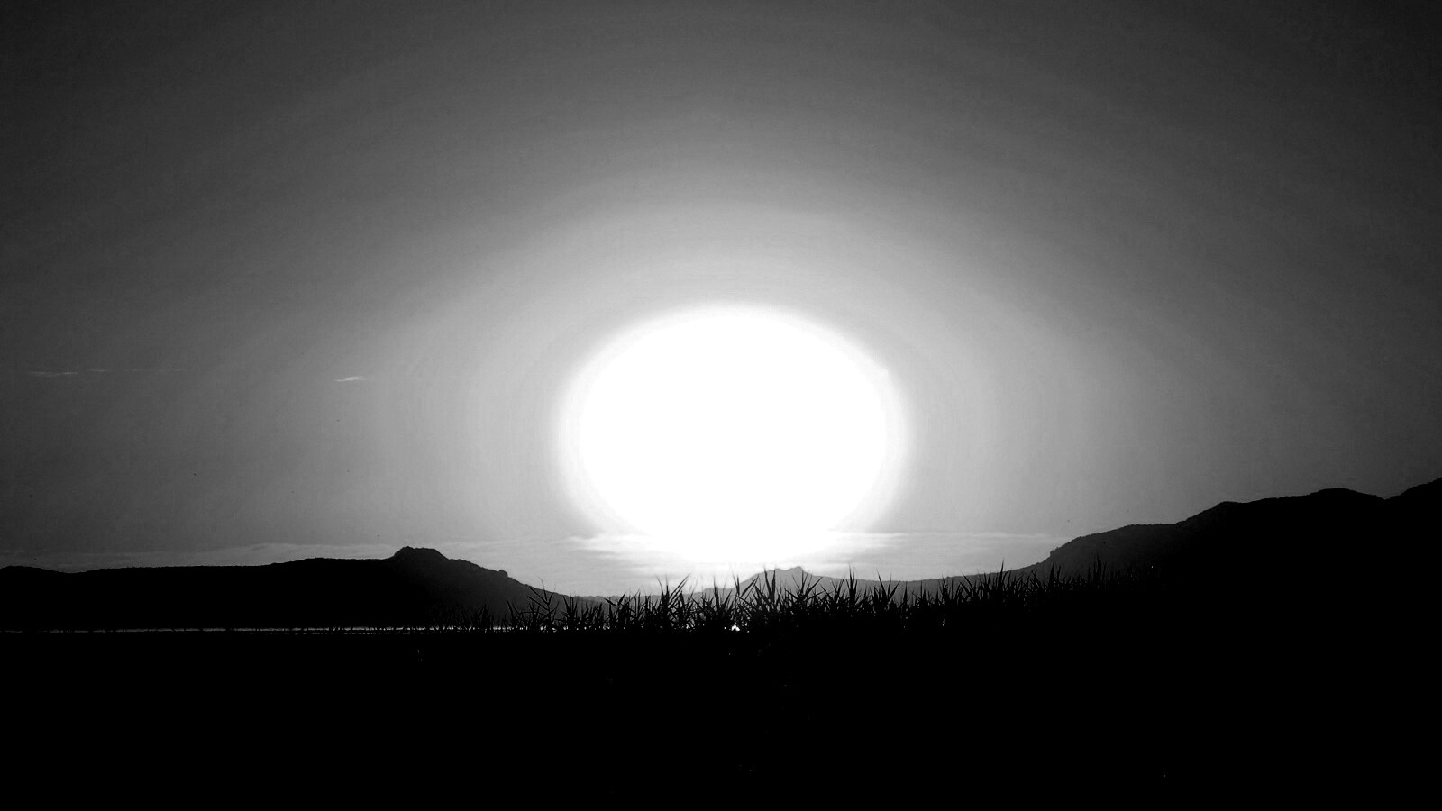 Сельский закат обои