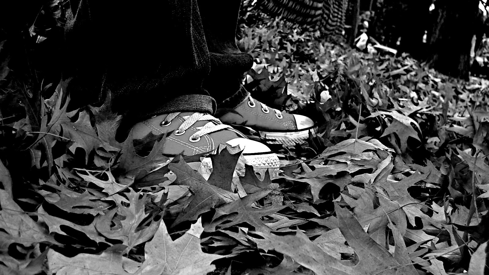 Оранжевые кеды обои