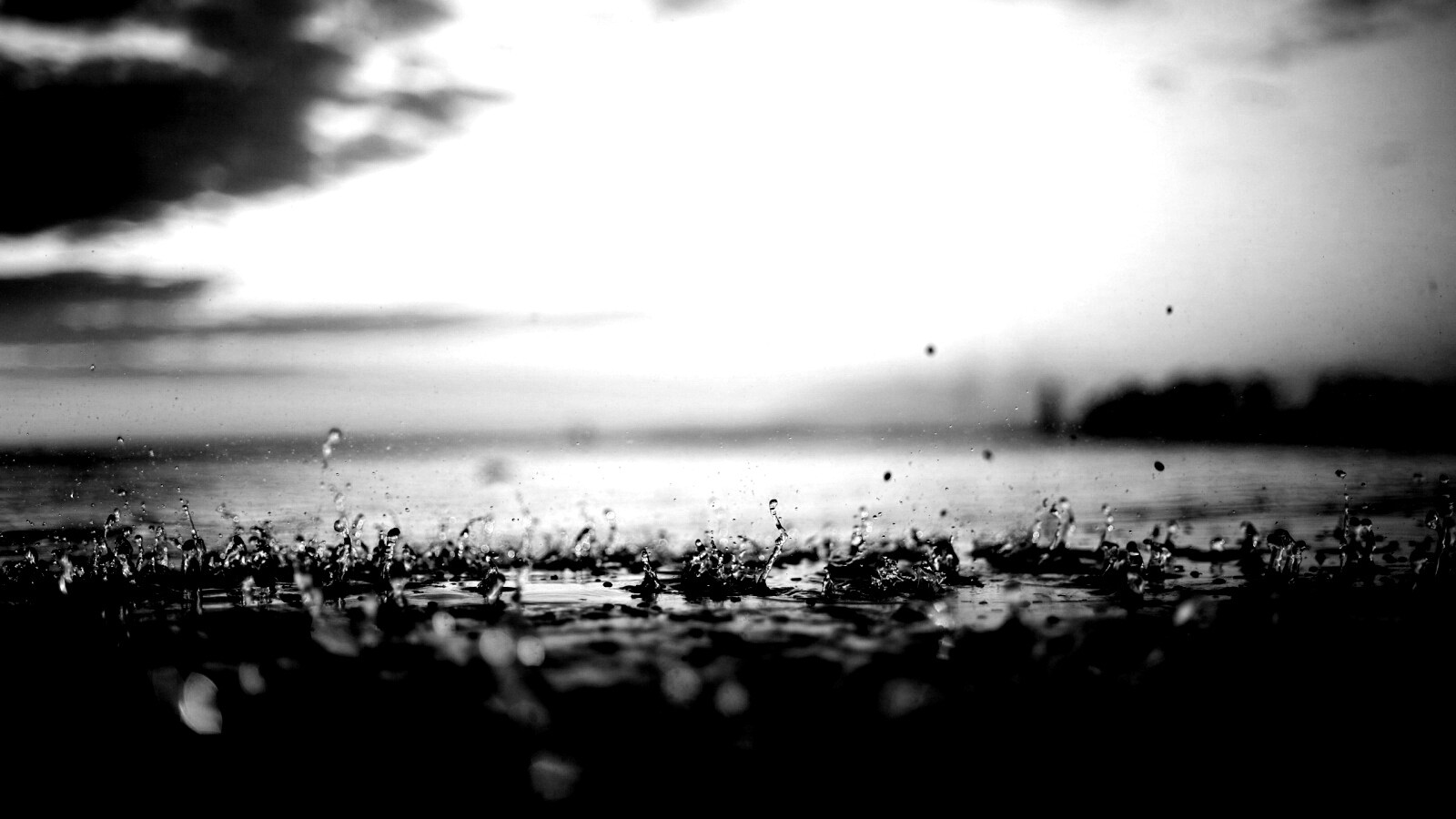 Дождь в макро обои