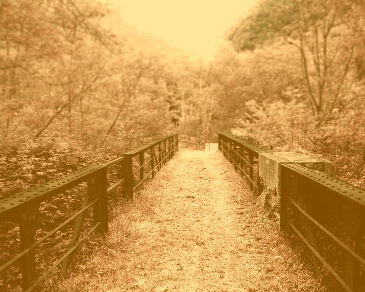 Травянистый мост обои