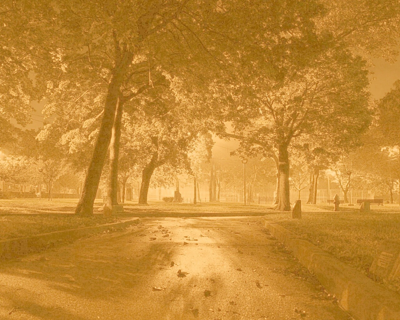 Ночной парк обои