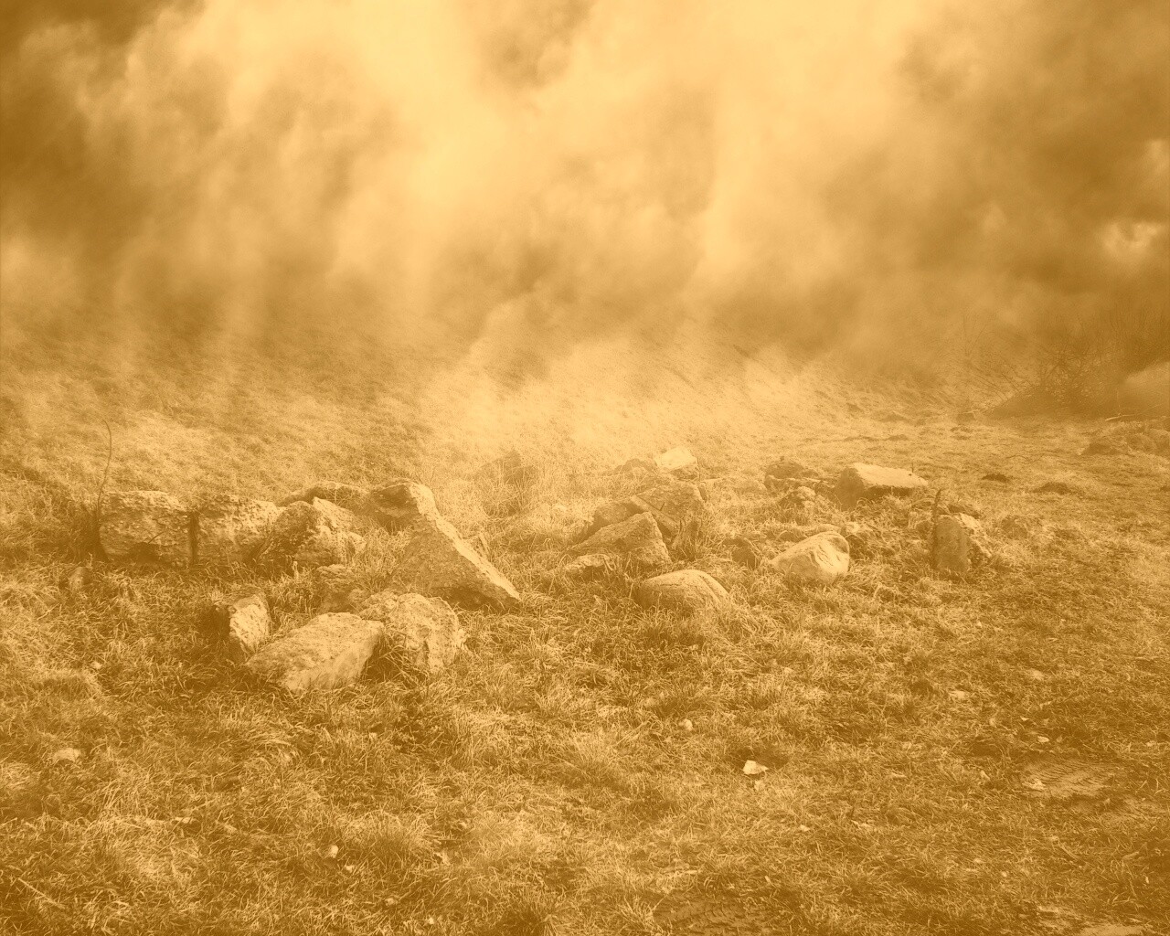 Туман на склоне обои