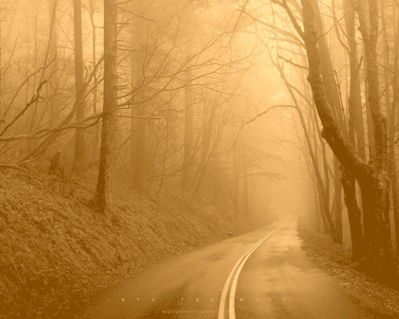 В туман обои