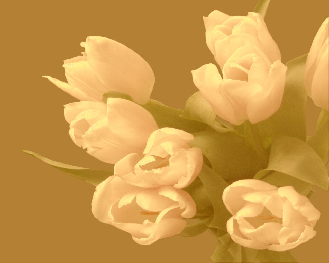 Розовый букет обои