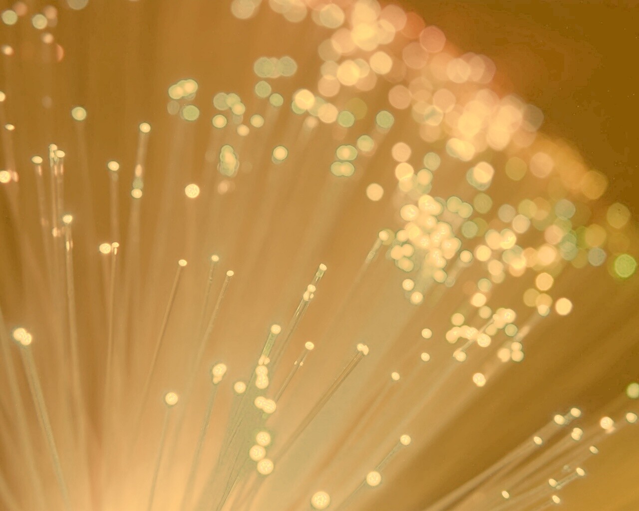 Огоньки на оптоволокне обои