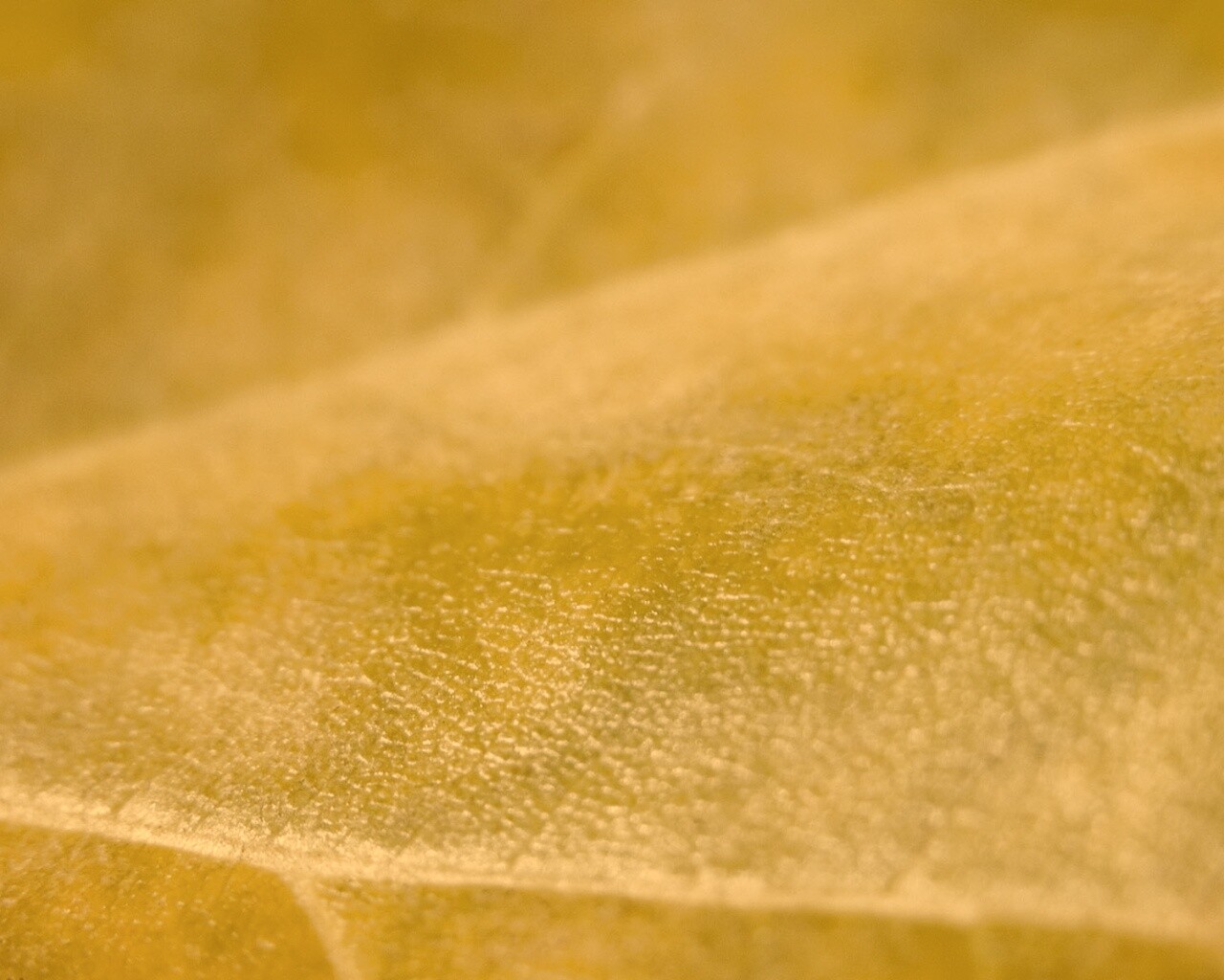 Повехность листа обои