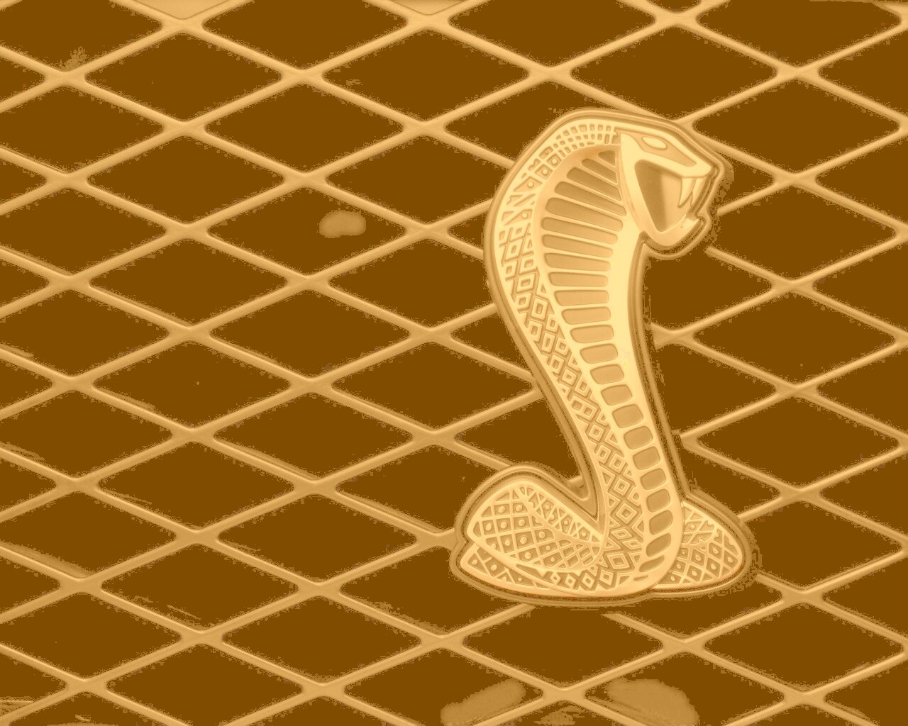 Логотипа Форда Шелби обои