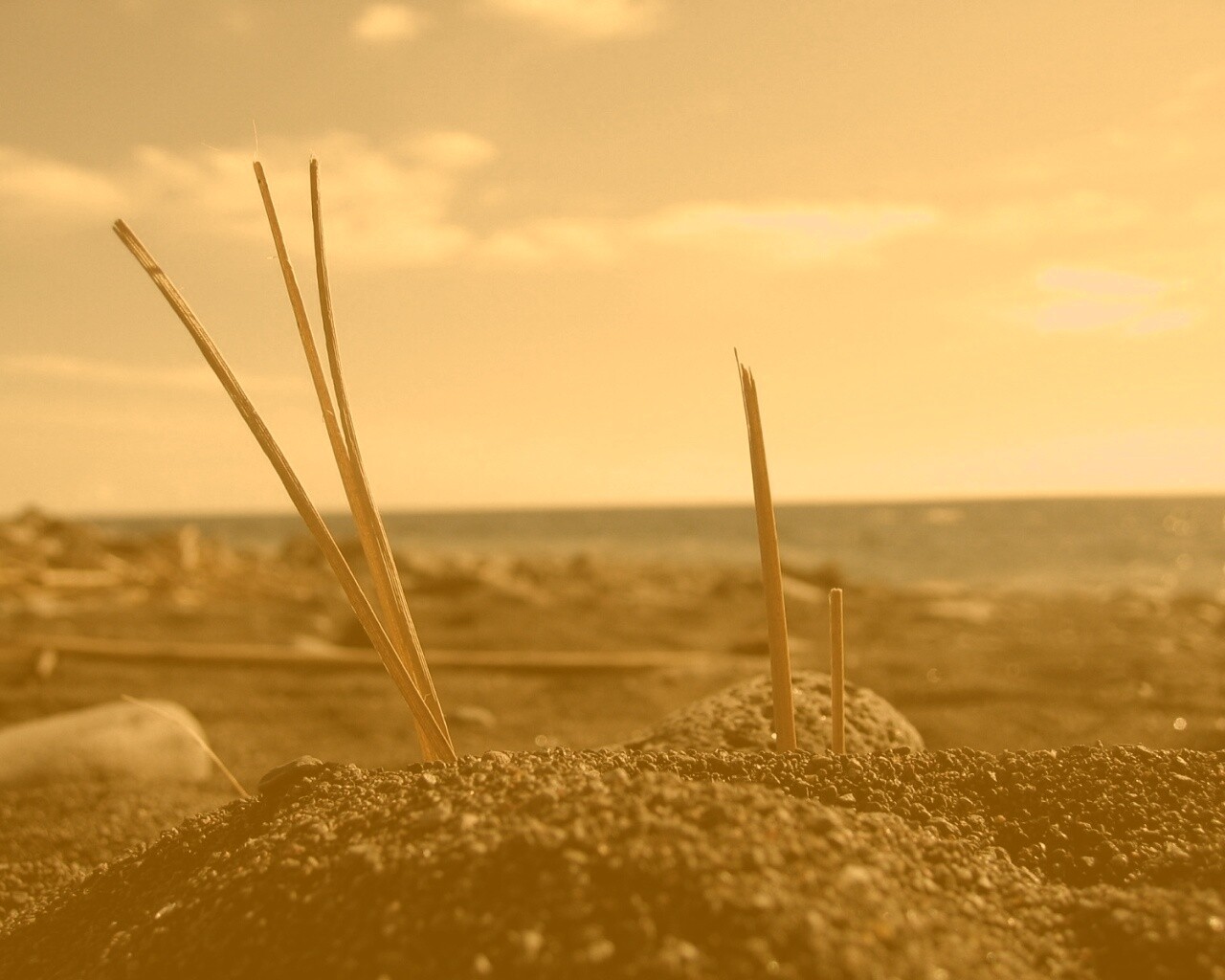 Солома на океанском берегу обои