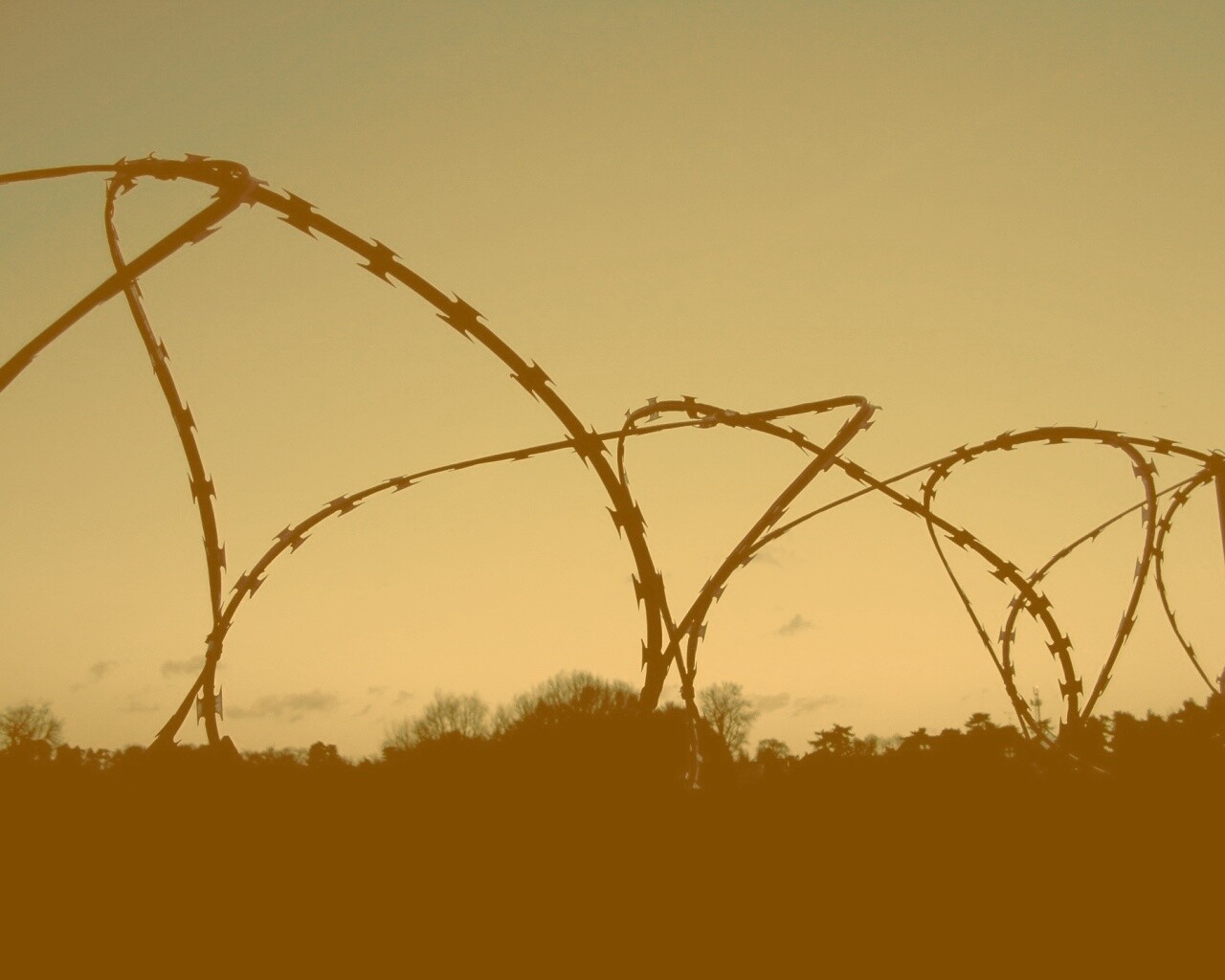 Колючая проволка обои