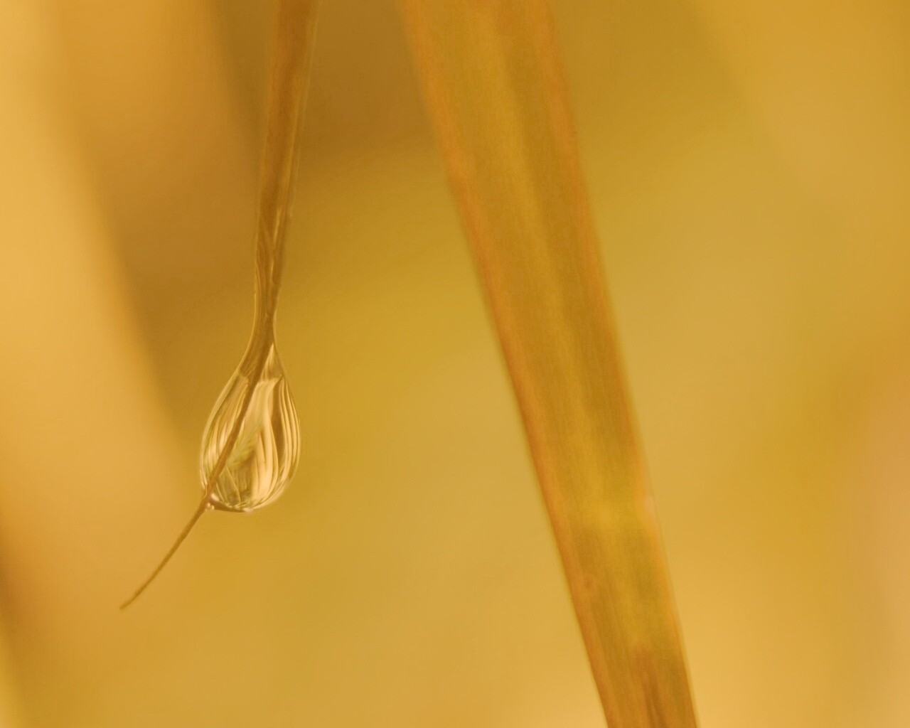 Стекающая капля обои