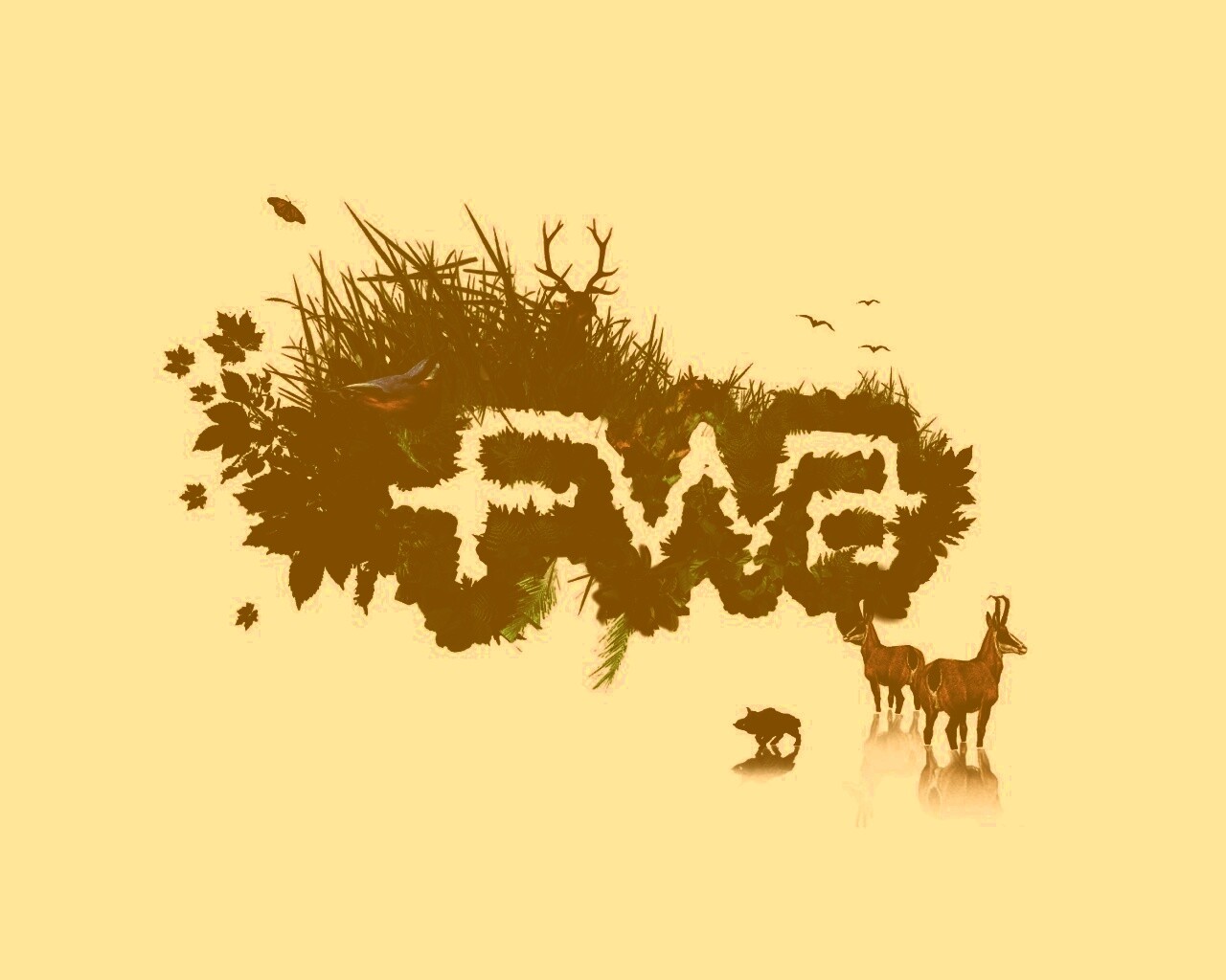 FWA обои
