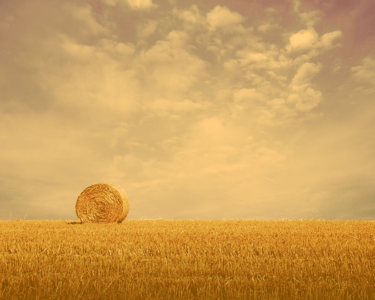 СОломеннынй рулон обои