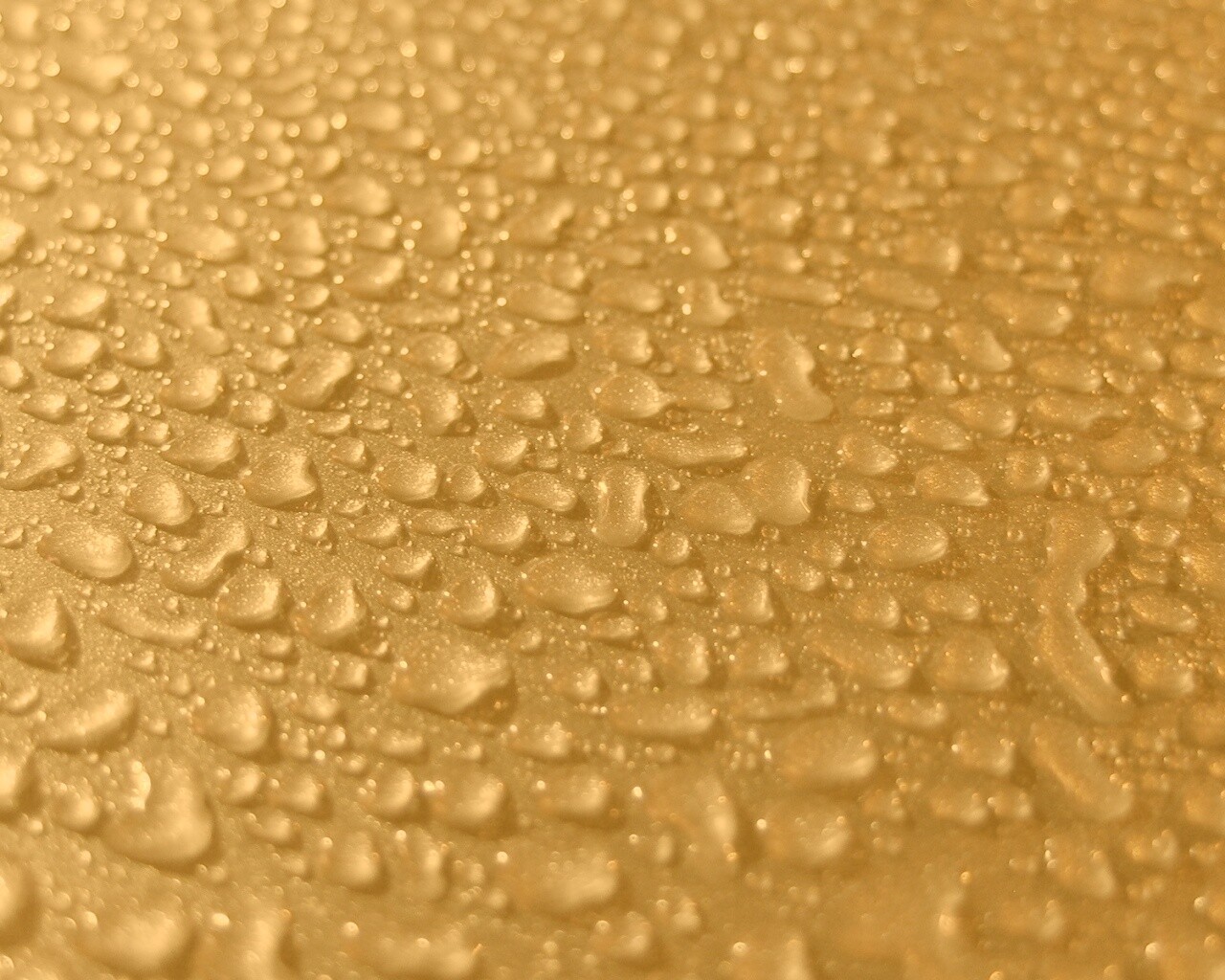 Вода собирается в капли обои