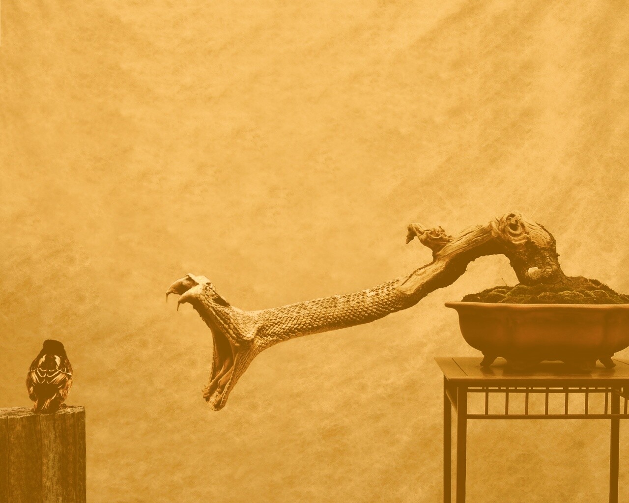 Змея-коряга напдает на птичку обои