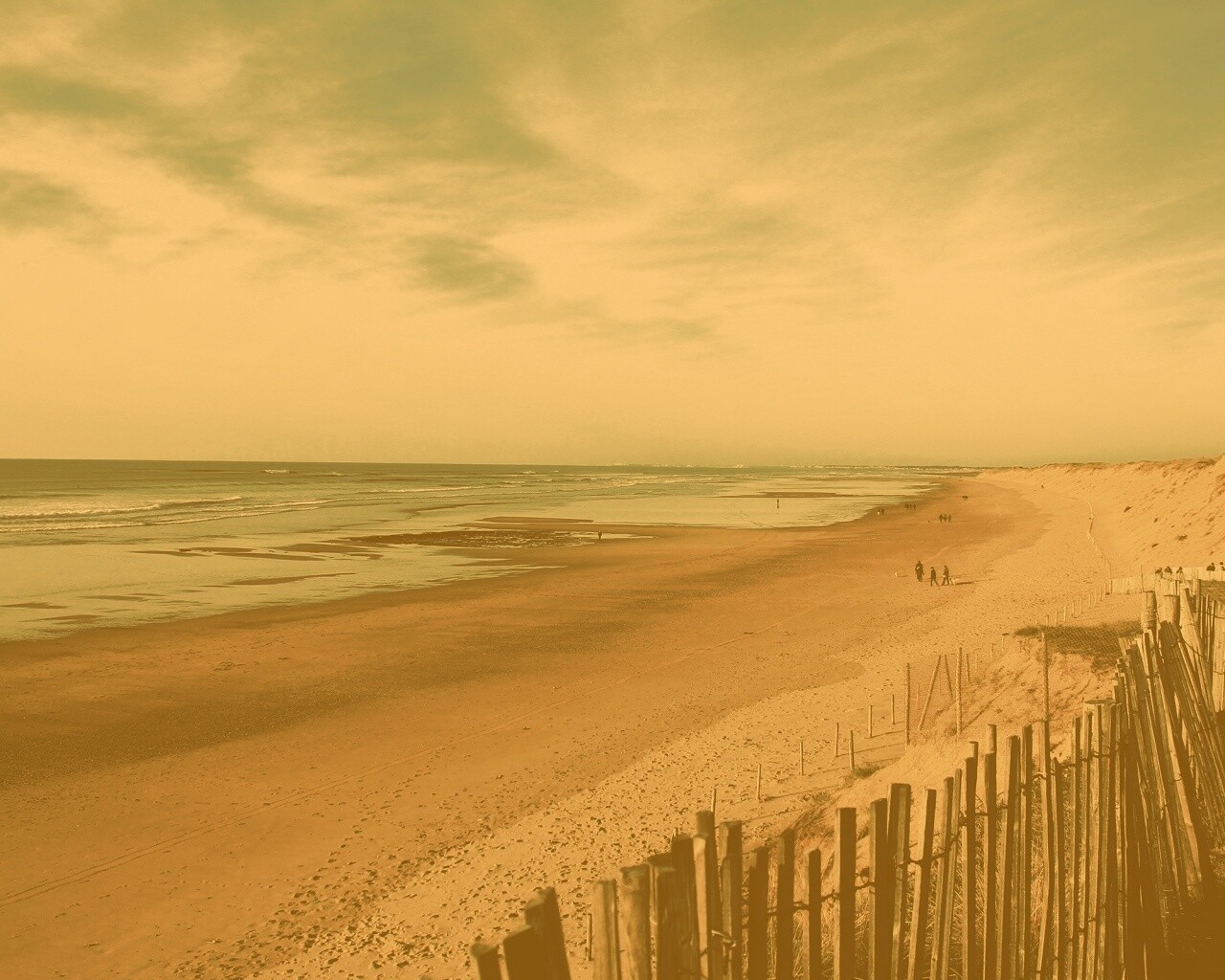 Обмелевший берег обои