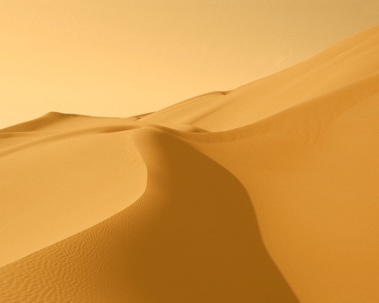 Барханы в пустыне обои