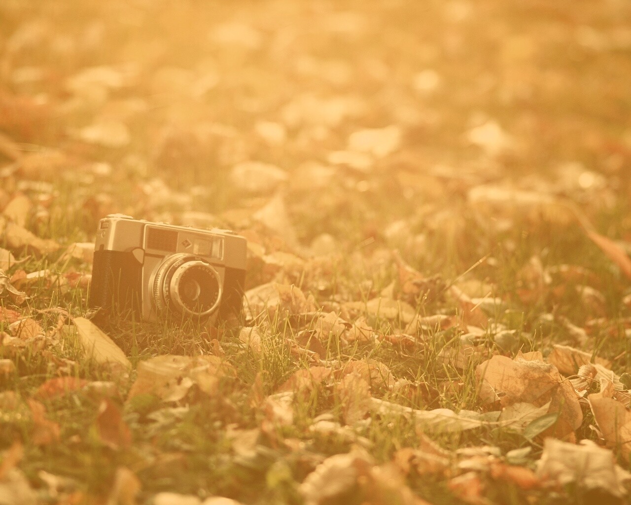 Старый фотоаппарат в траве обои