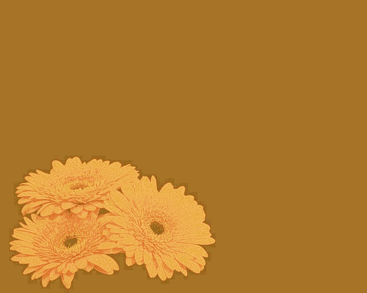 Красные герберы обои