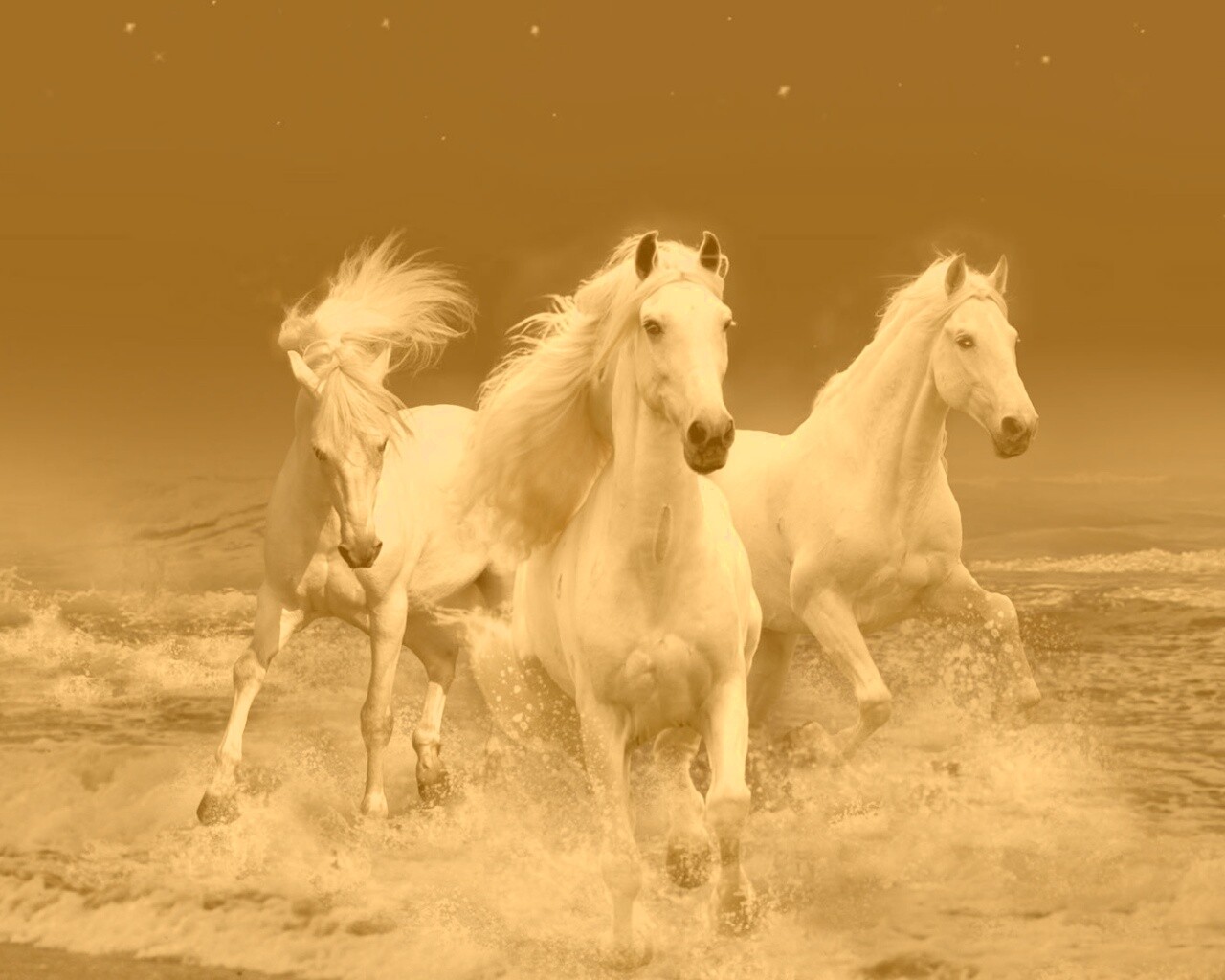 Тройка конец в море обои