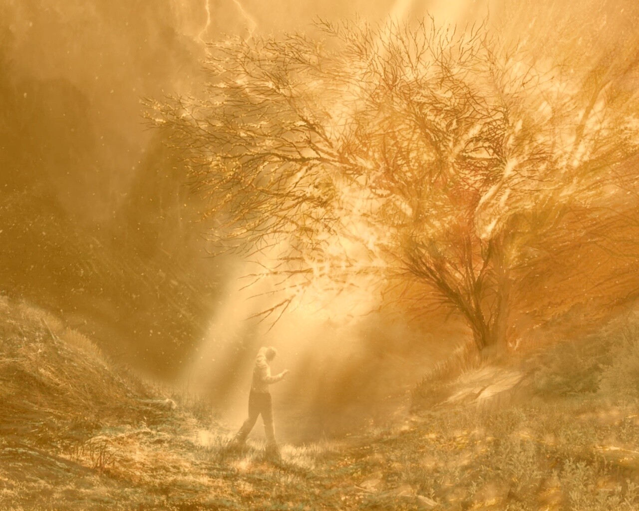 Горящее дерево обои