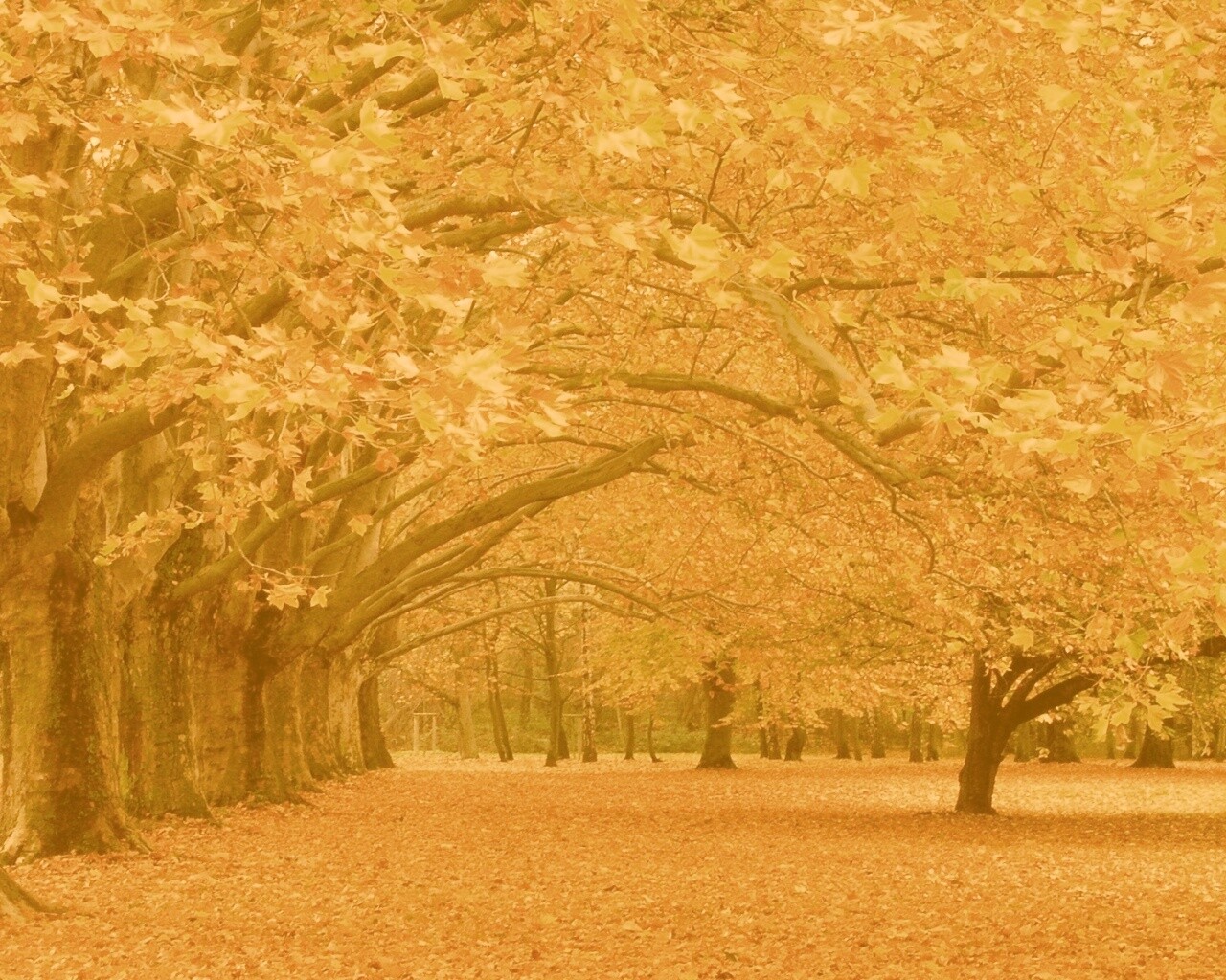 Осенний парк обои