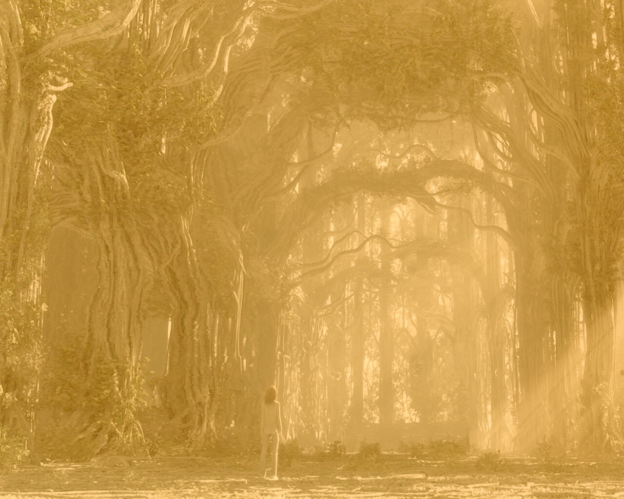 Одна в сумеречном лесу обои