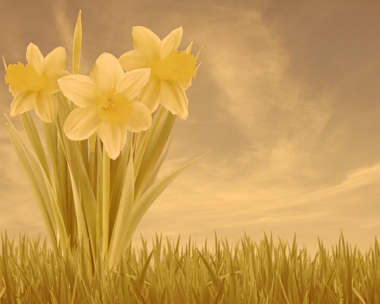 Букет цветов в траве обои