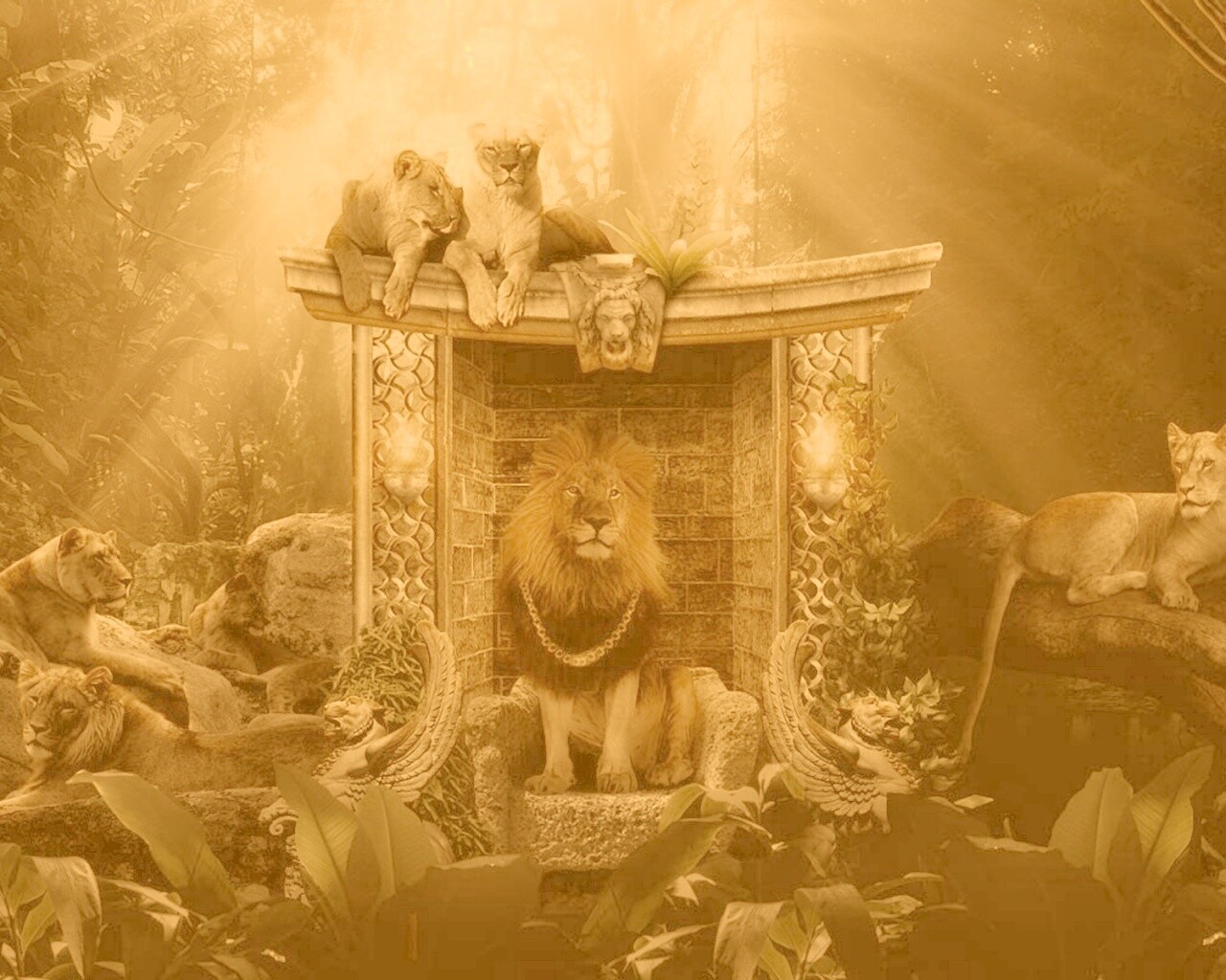 Царь зверей обои