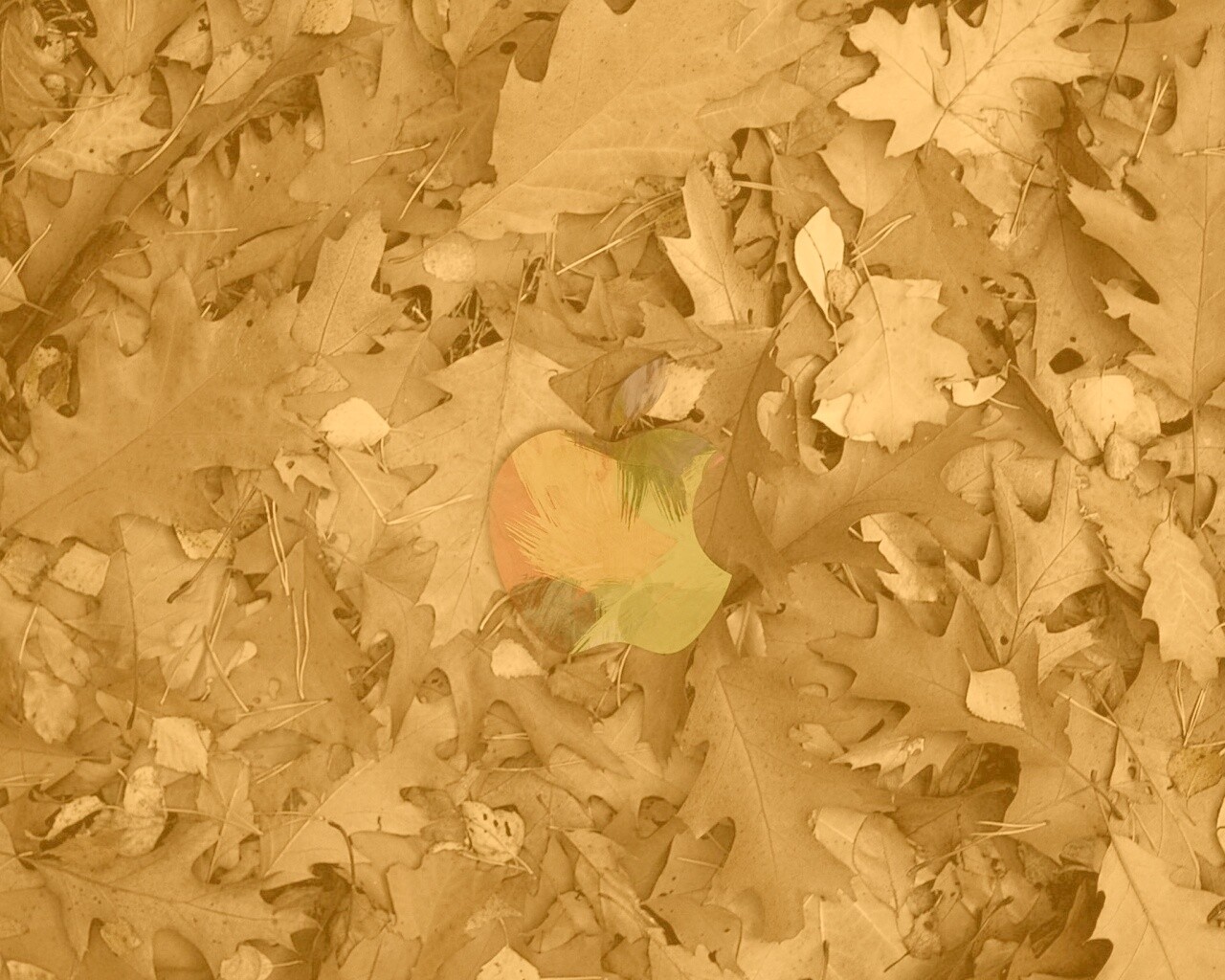 Эпл в сухой листве обои