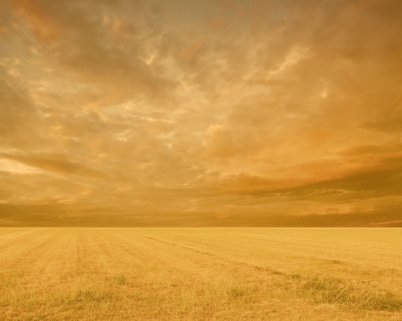 Тучи над желтым полем обои