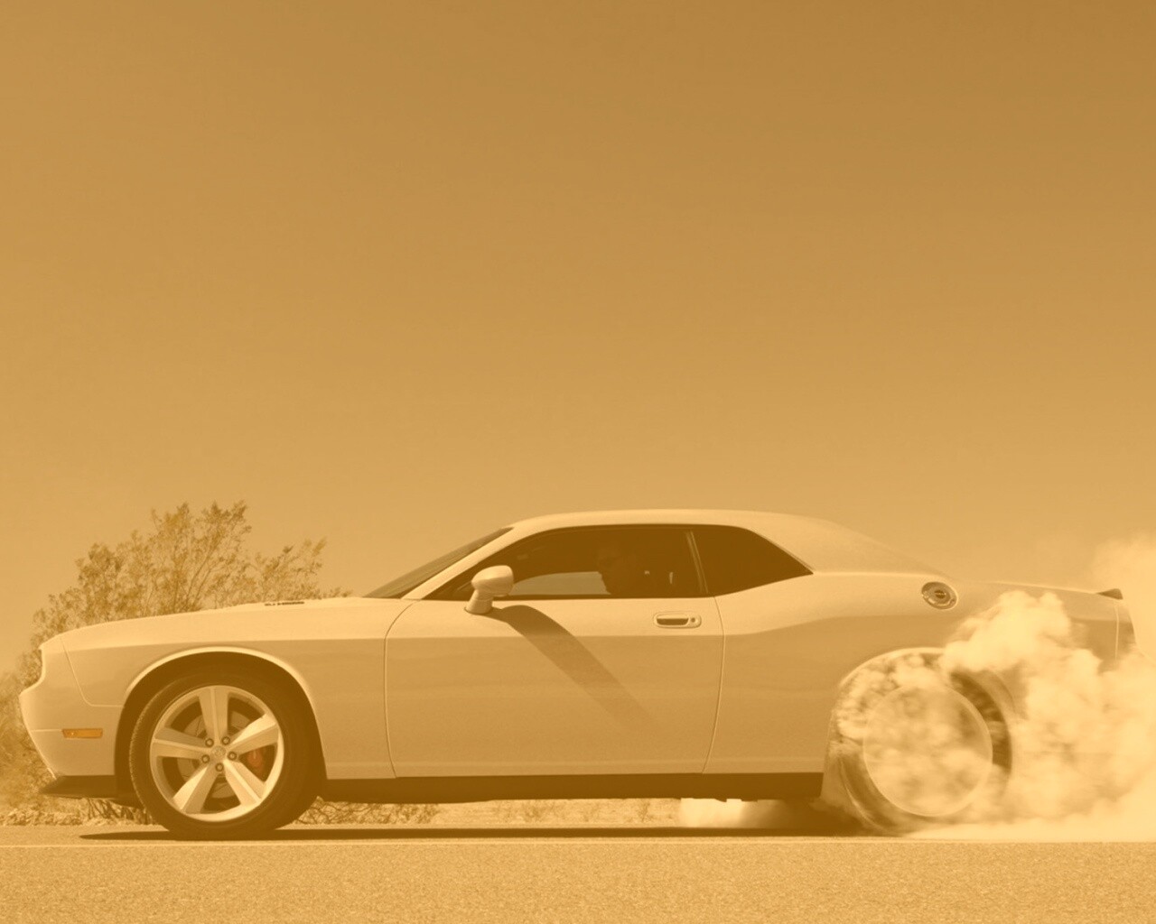 Стартующий Форд Мустанг обои