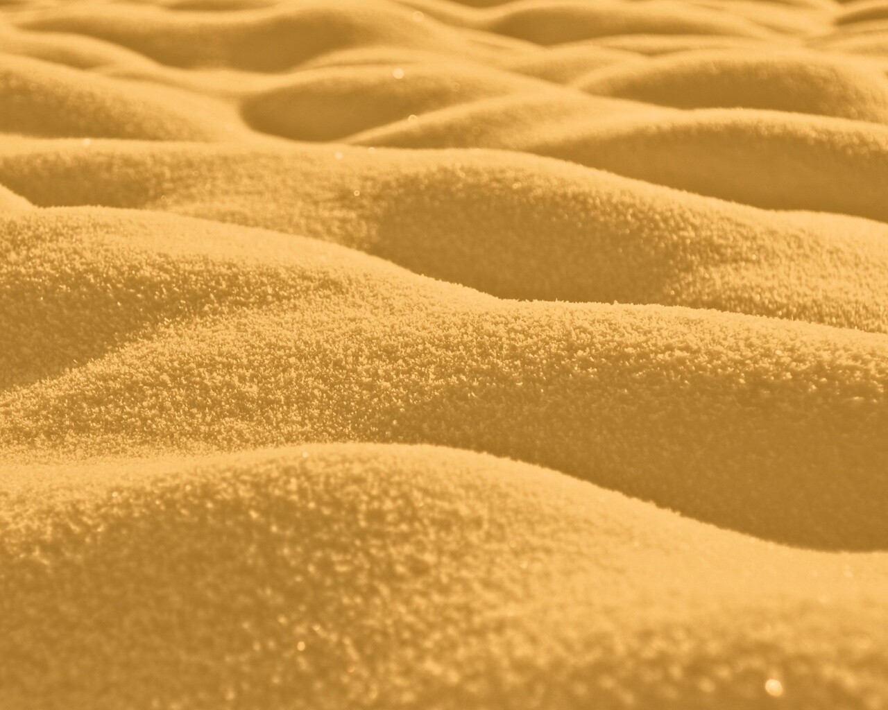 Песчаные бугры обои