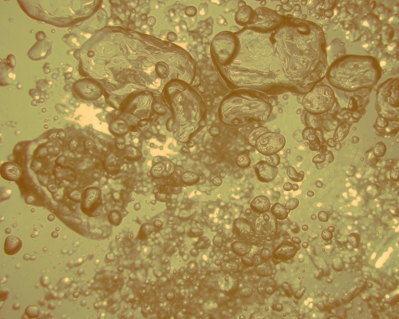 Тёмные пузыри в воде обои