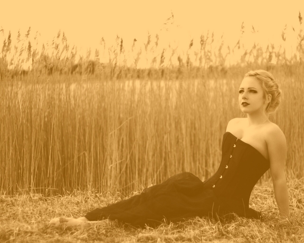 Девушка на траве в черном корсете обои