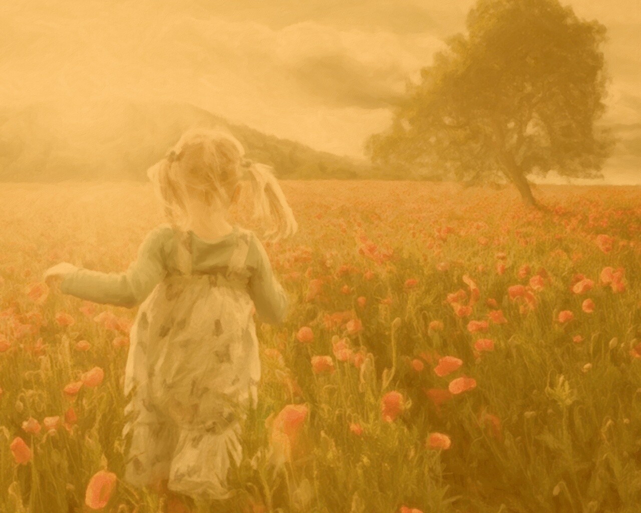 Девочка на маковом поле обои