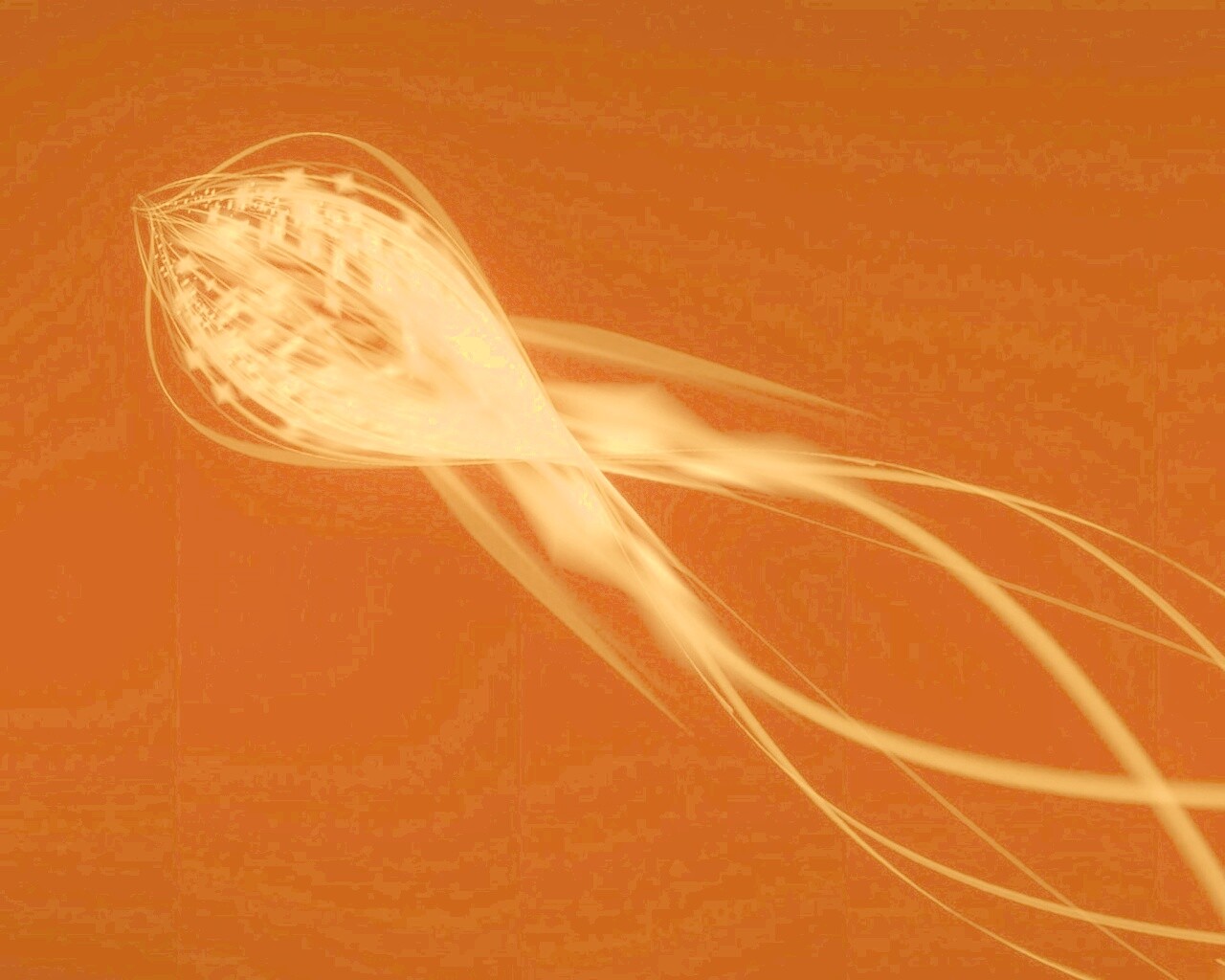 Сгусток красных линий обои