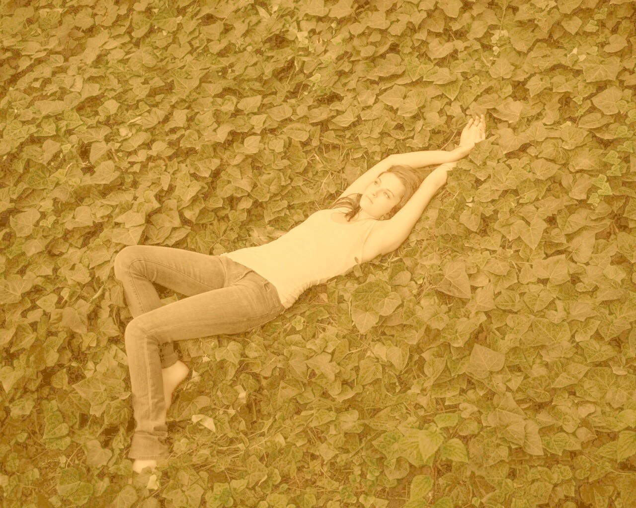 Кристен Стюарт на ковре из листьев обои