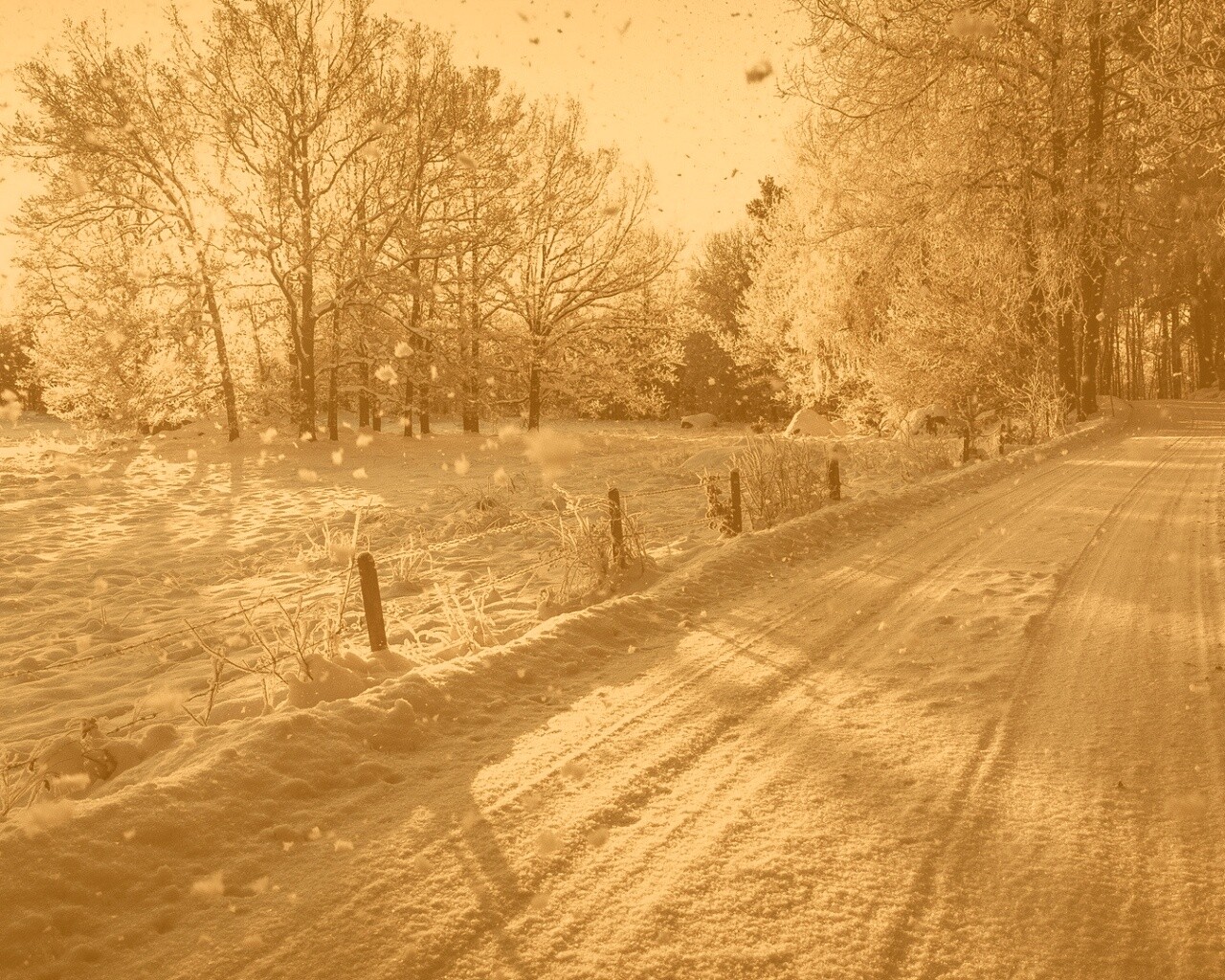 Снежная дорога залитая солнцем обои