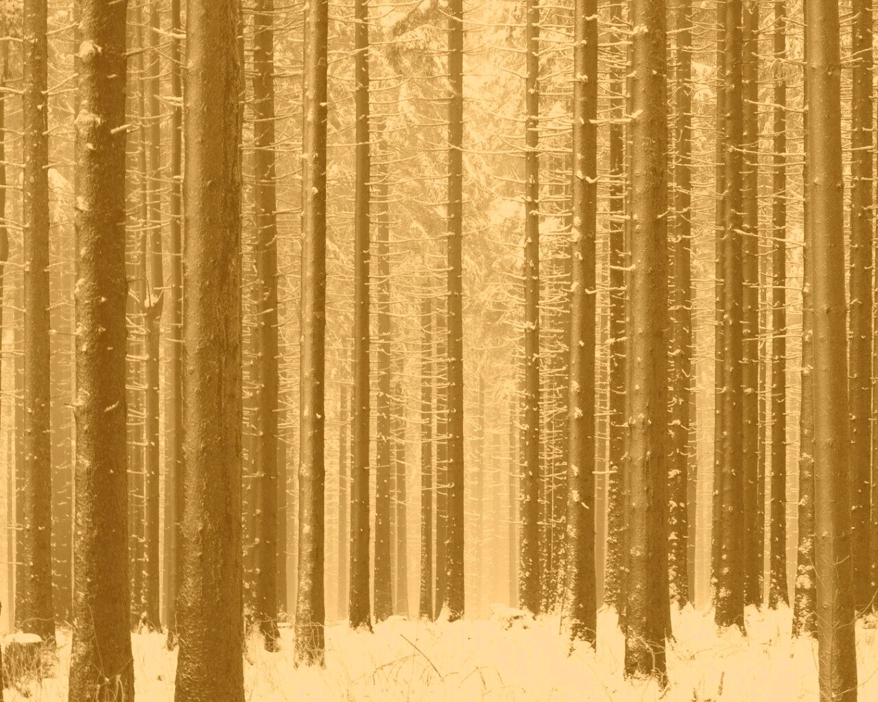 Зимний лес как штрихкод обои