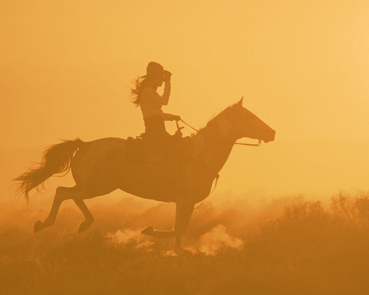 Наездница на закате обои