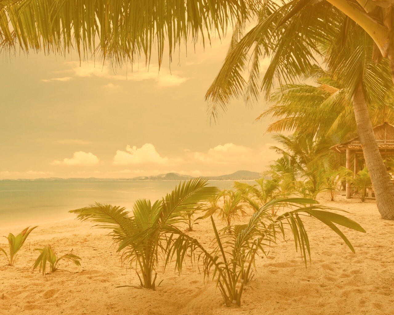 Настоящее лето обои