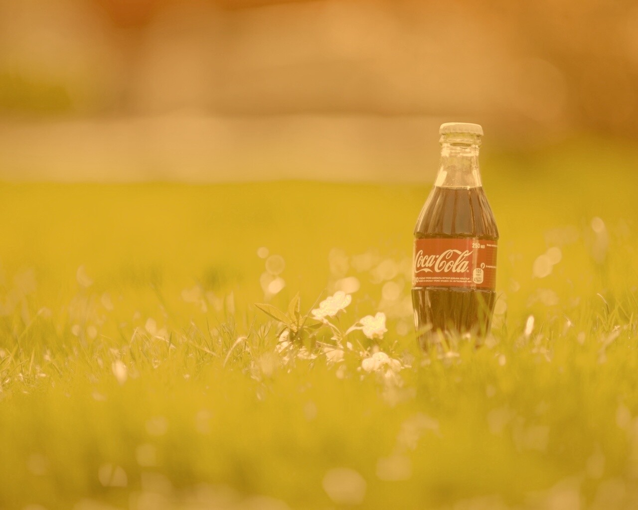 Кока-Кола на траве обои