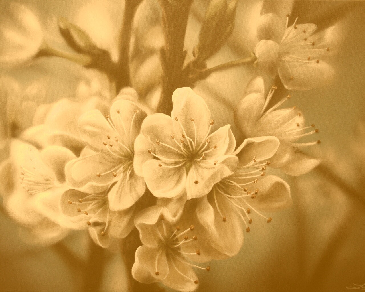 Яблоня в цвету картина обои