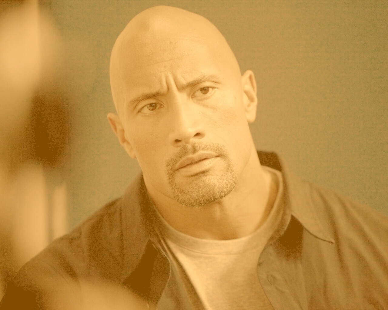 Dwayne johnson, Actor, Bald, Hair, Celebrity обои