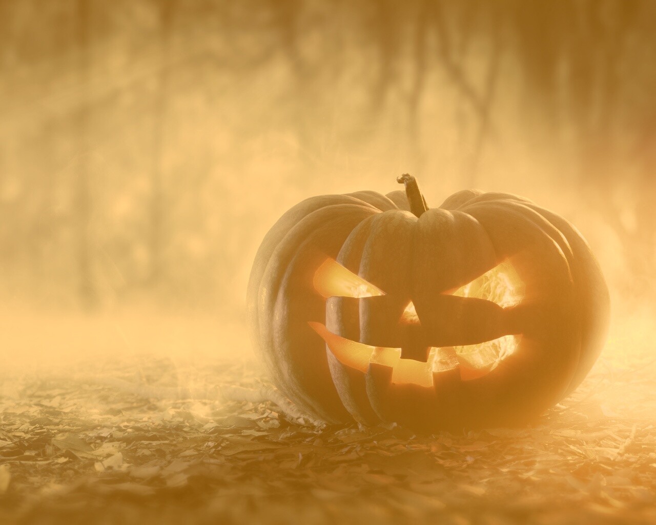 Хэллоуинская тыква обои