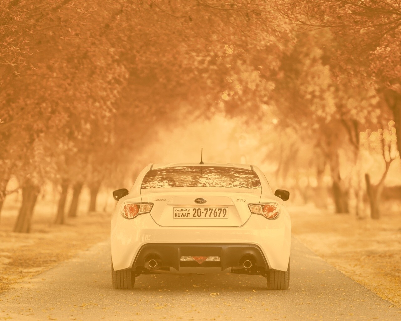 Субару на осенней дороге обои