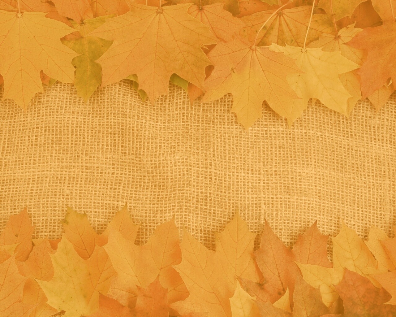Желтые кленовые листья на холсте обои
