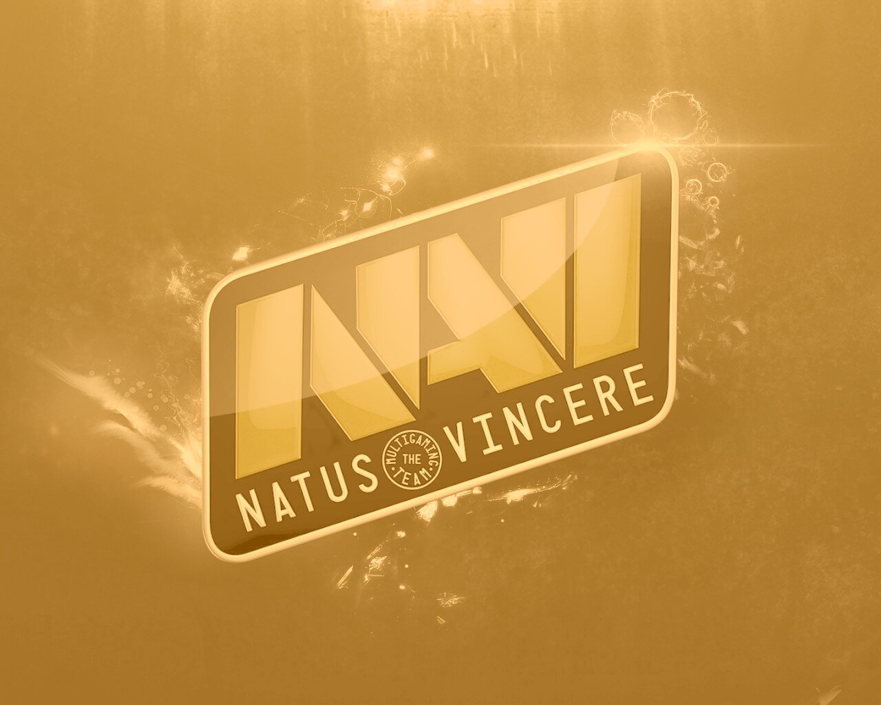 Natus Vincere обои