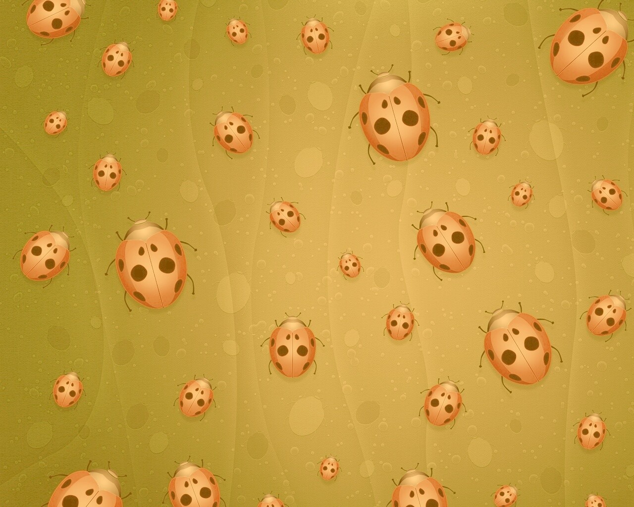 Божьи коровки обои