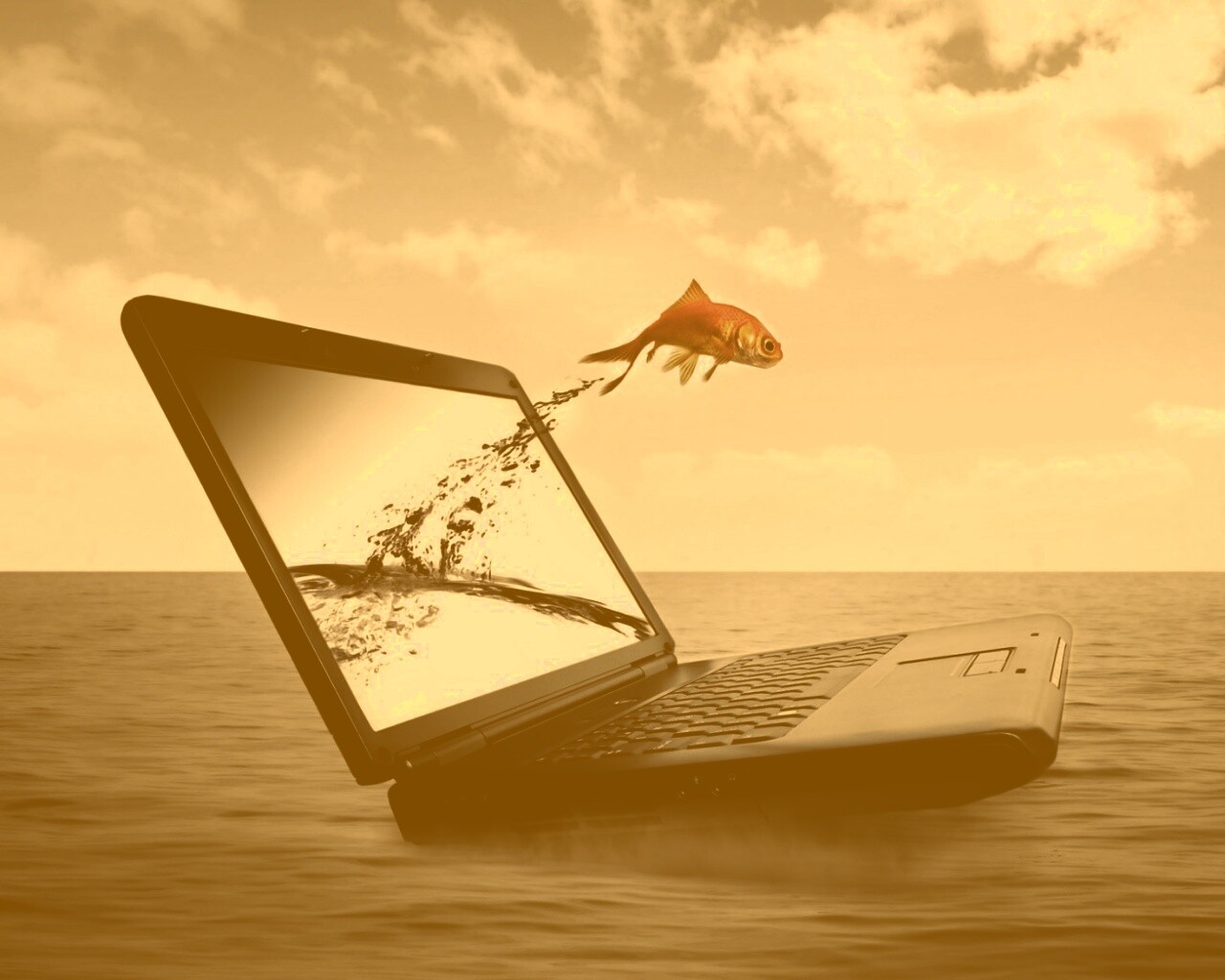 Золотая рыбка обои